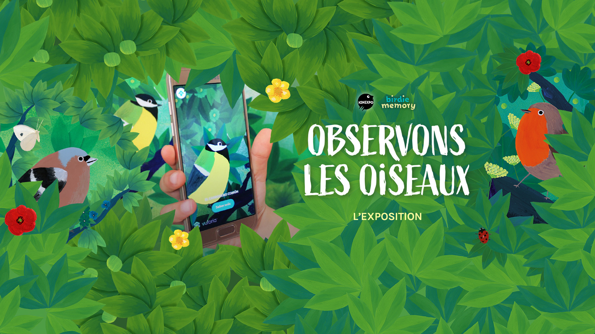 Observons les oiseaux
